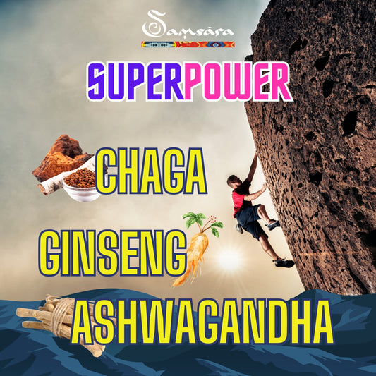 Samsara 30 biscuits with artisan and vegan shilajit | Natural energy | 1 per day with 200mg of Shilajit 65% of Fulvic acid, lactose, no GMO, no preservatives