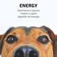 Samsara - Incenso in Bastoncini Per Animali Fatto a Mano 100% Naturale, Energia E Vitalità per Amici a 4 Zampe - Aromaterapia per animali - 15gr (ENERGY) - SamsaraFragrances