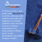 SAMSARA Tè Matcha BLU - SAPORE NATURALE| Fiori di Piselli blu Farfalla 100% organico | Contro Ansia e Stress, Antiossidante Naturale, Made in Thailandia | Viral web content - SamsaraFragrances